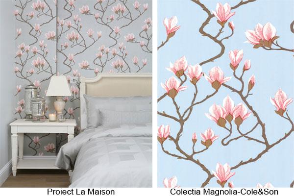 proiect-la-maison-cole&son